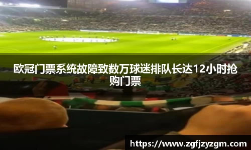 多多28官网