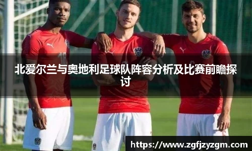 北爱尔兰与奥地利足球队阵容分析及比赛前瞻探讨