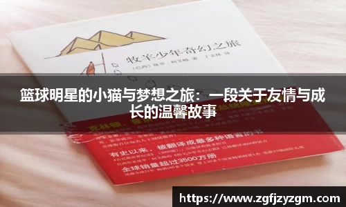 篮球明星的小猫与梦想之旅：一段关于友情与成长的温馨故事